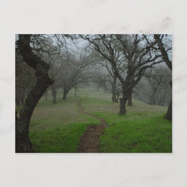 Cartão Postal O caminho (Frente)