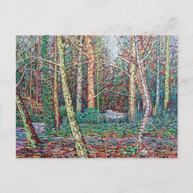 Cartão Postal O Caminho de Janeiro (Frente)