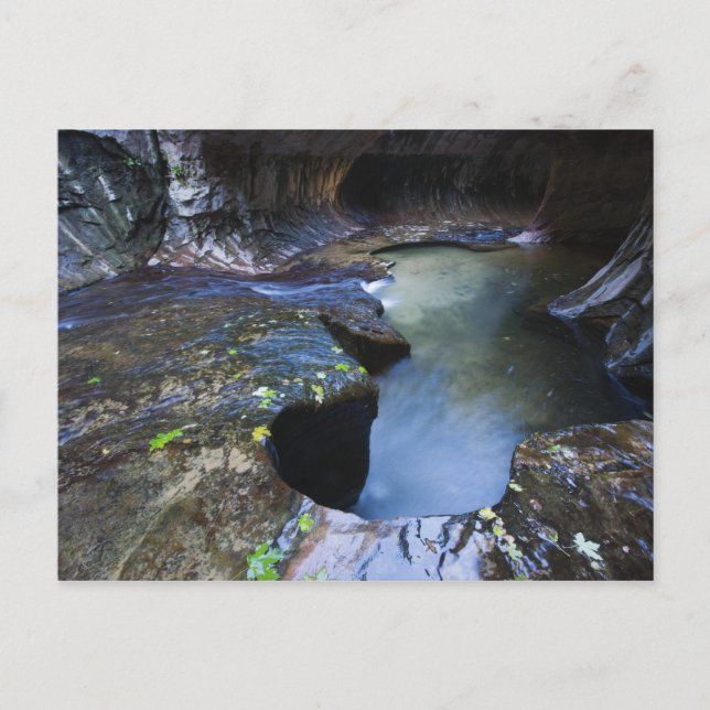 Cartão Postal O cânice fenda do Subway (Frente)