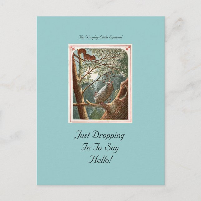 Cartão Postal O Cartão-postal do Esquilo Malvado (Frente)