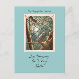 Cartão Postal O Cartão-postal do Esquilo Malvado