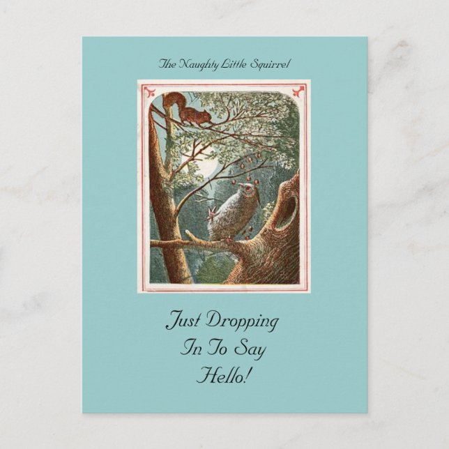 Cartão Postal O Cartão-postal do Esquilo Malvado (Frente)