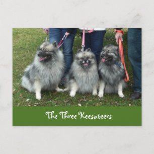 Cartão Postal O Cartão-postal dos Três Detentores