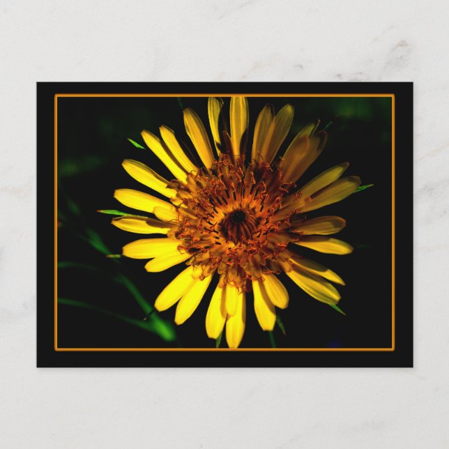 Cartão Postal O Cartaz (Frente)