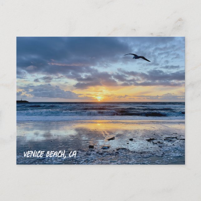 Cartão Postal O casco toma voo - Veneza Beach, CA (Frente)