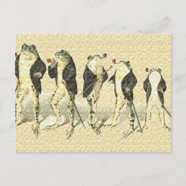 Cartão Postal O cavalheiro (Frente)