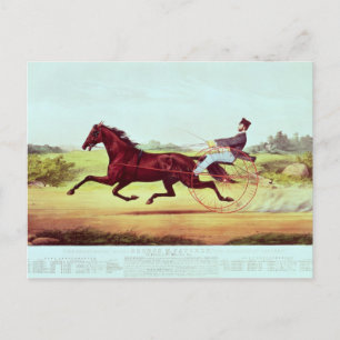Cartão Postal O Cavalo Celebrado, George M. Patchen