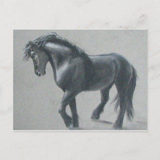 Cartão Postal O Cavalo Escuro