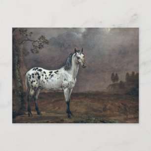 Cartão Postal O Cavalo Malhado, 1653