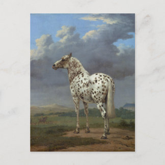Cartão Postal O Cavalo Piebald
