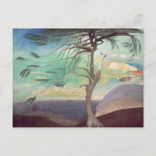 Cartão Postal O Cedar Solitário, 1907