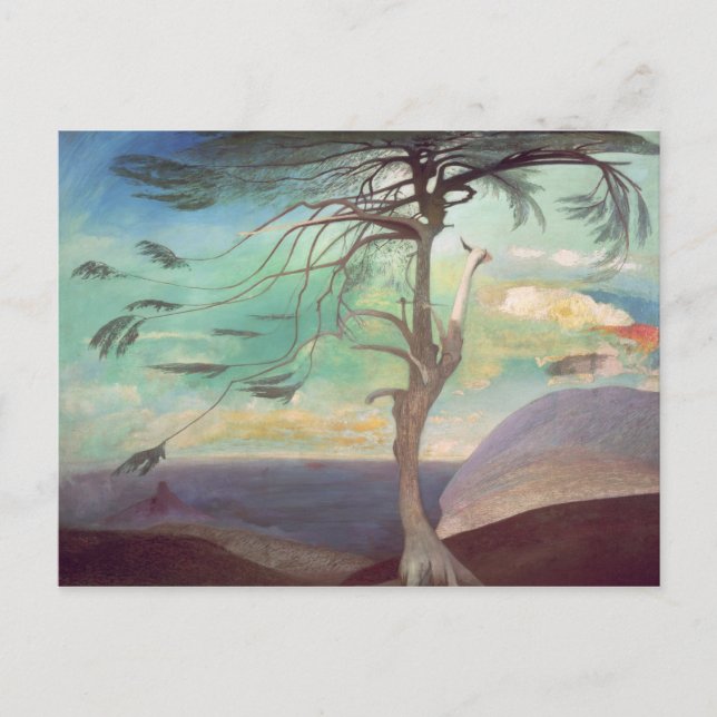 Cartão Postal O Cedro Solitário, 1907 (Frente)