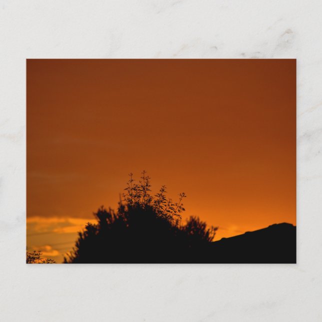 Cartão Postal O céu laranja (Frente)