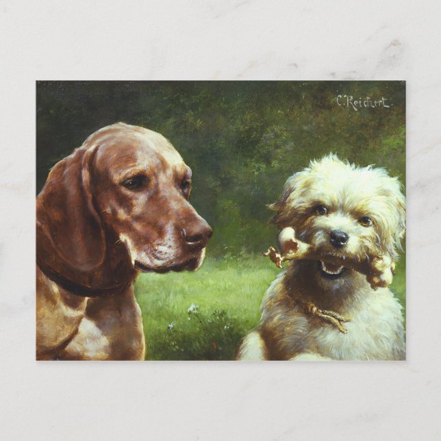 Cartão Postal O cínico e o filósofo (Frente)