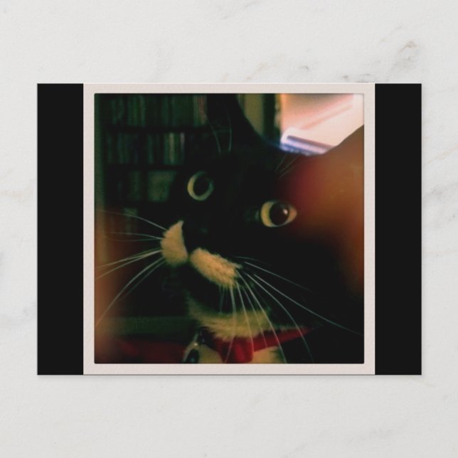 Cartão Postal O Closeup da Lucy (Frente)