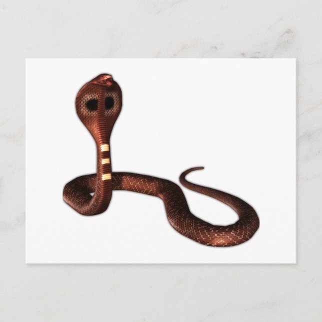 Cartão Postal O Cobra, Cobra Mortal (Frente)