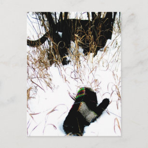 Cartão Postal O Conde Folk Ucraniano Mitten