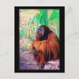 Cartão Postal O Contemplater - Cartão-postal