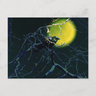 Cartão Postal O Corvo