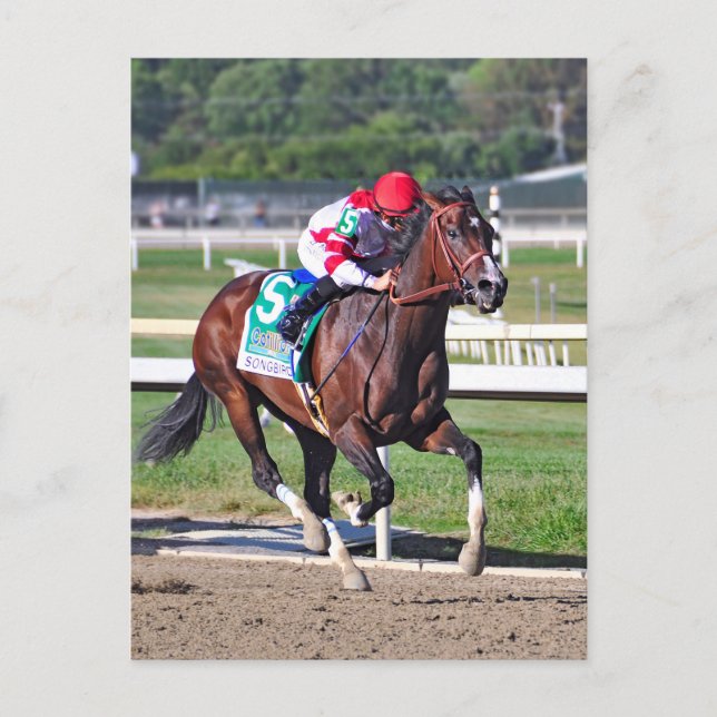 Cartão Postal O Cotillion 2016 (Frente)