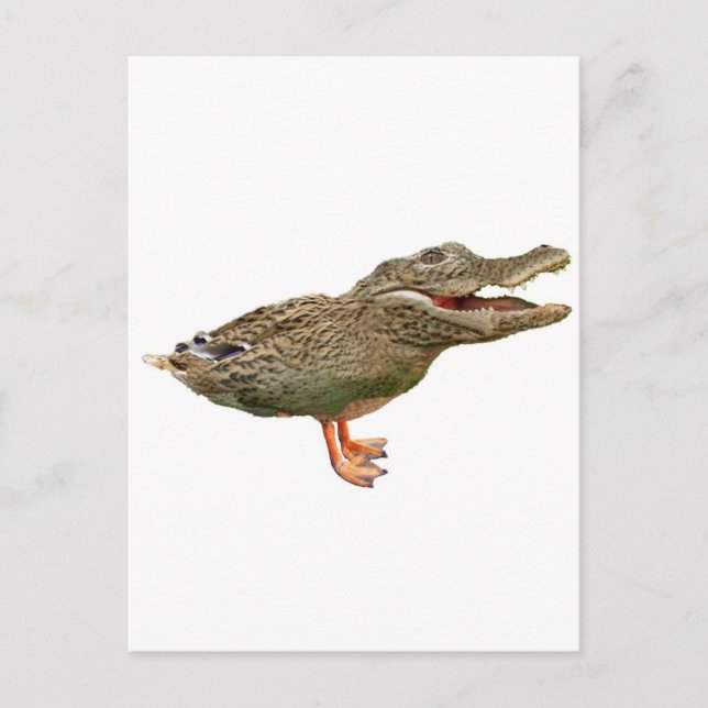 Cartão Postal O Crocoduck com pés (Frente)