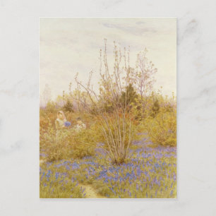 Cartão Postal O Cuco