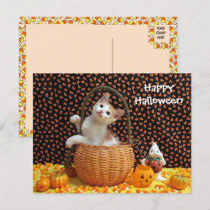 Cartão Postal O Curioso Gato de Halloween da Annie