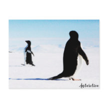 O dançarino e amigo Adélie Penguin