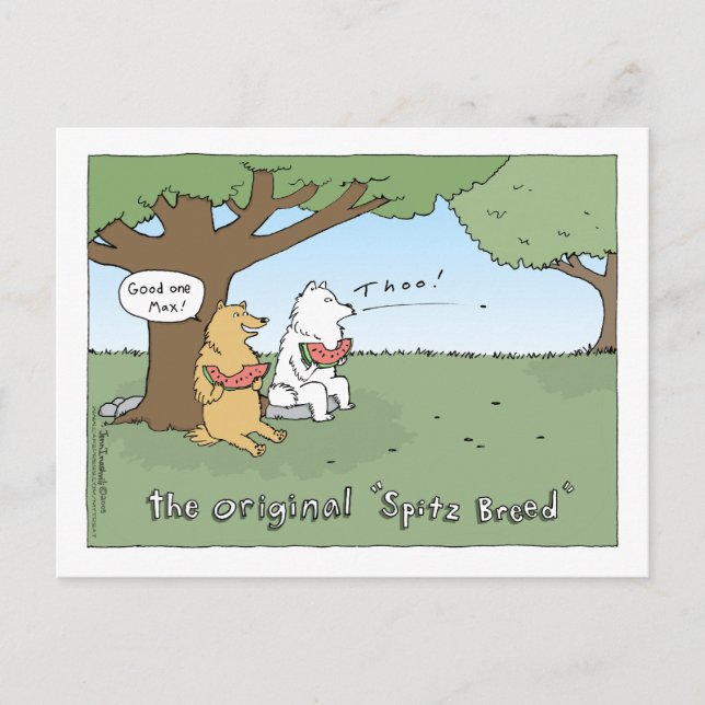 Cartão Postal O desenho original do "Spitz Breed" (Frente)