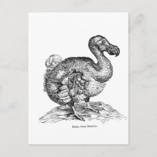 Cartão Postal O Dodo