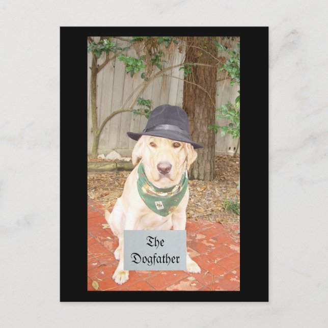 Cartão Postal O Dogdad (Frente)