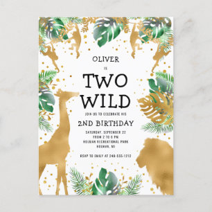 Cartão Postal O Dourado Safari Verde do Partido dos Dois segundo