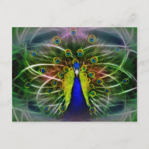 Cartão Postal O Dreamcatcher Peacock