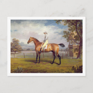 Cartão Postal O Duque do Disfarce de Hamilton com Jockey Up (oi)