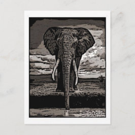 Cartão Postal O Elefante