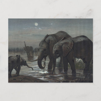 Cartão Postal O elefante africano de Joseph Wolf