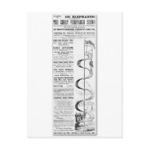 O Excelente Forepaugh Mostra Anúncio