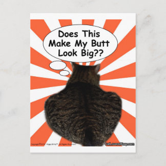 Cartão Postal O gatinho do hippy faz este faz meu olhar do