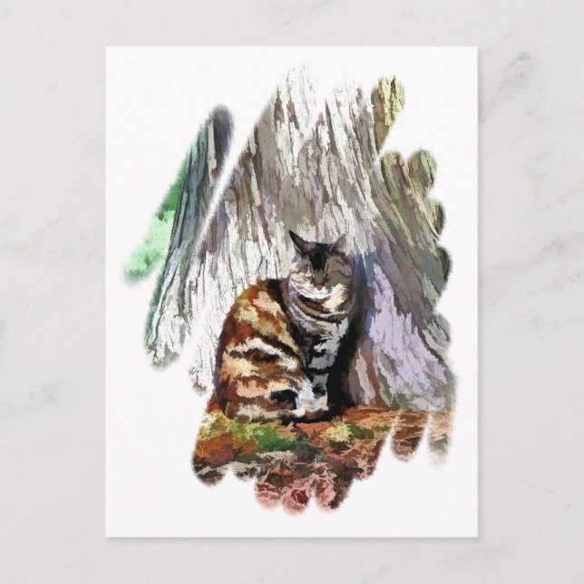 CARTÃO POSTAL O GATO (Frente)