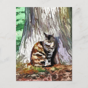 CARTÃO POSTAL O GATO
