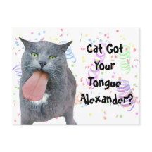 O Gato Da Festa Recebeu Sua Língua?