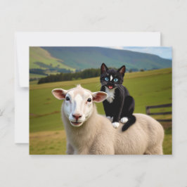Cartão Postal O Gato e a Ovelha – O Passeio Campestre de Felini