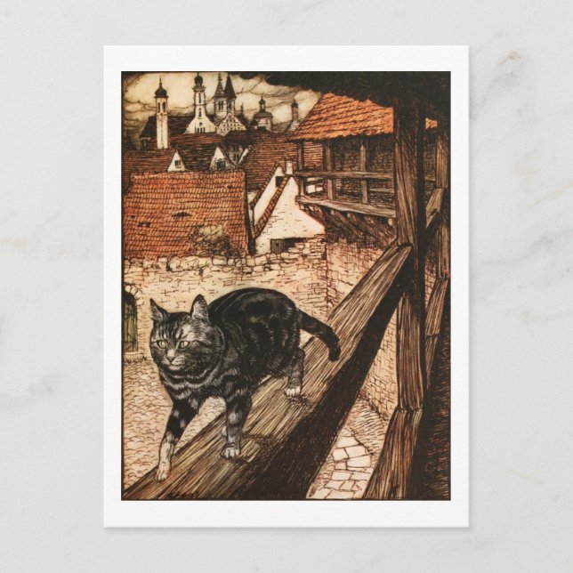 Cartão Postal O gato e o rato em parceria (Frente)