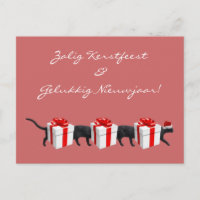 O Gato Mais Longo do Mundo