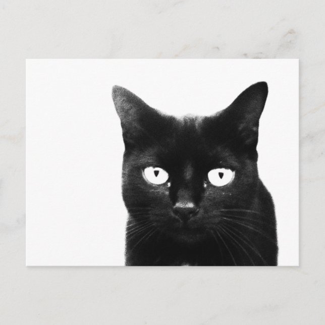 Cartão Postal O Gato Preto (Frente)