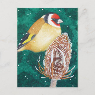 Cartão Postal O Goldfinch Europeu