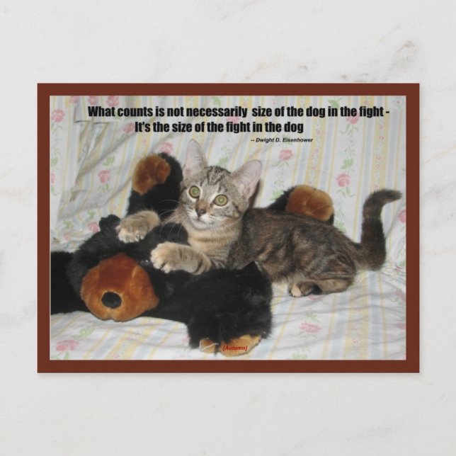 Cartão Postal O Grande Caçador (Frente)