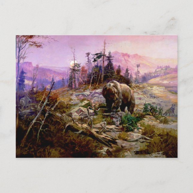 Cartão Postal O Grizzly (Frente)