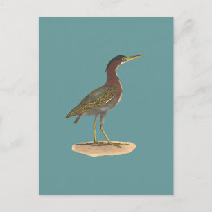 Cartão Postal O Herão Verde, ou Poke (Vírus de Ardea)