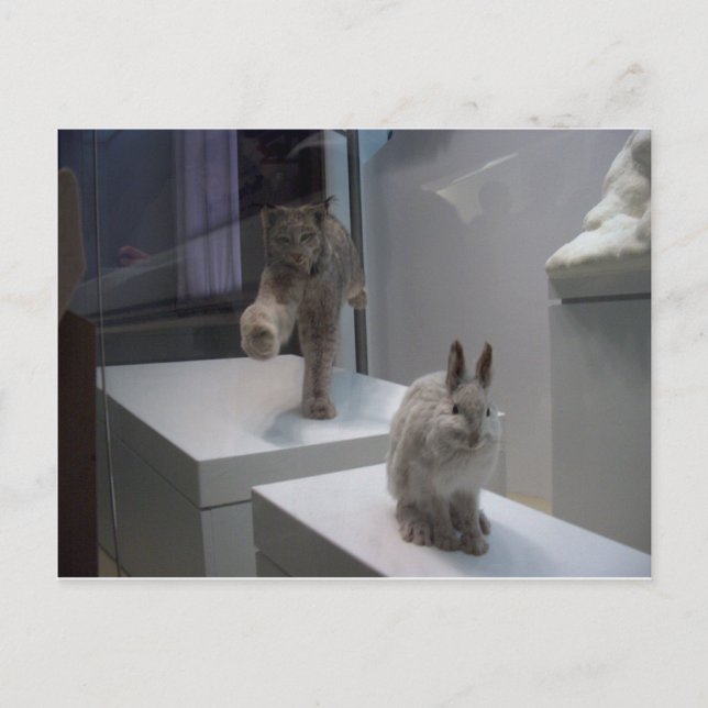 Cartão Postal O Hyper Lynx executa (a)a troca cruzada (Frente)